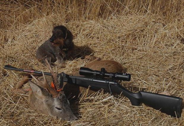 Las mejores marcas de cerrojos rifles rifle cerrojo gamo