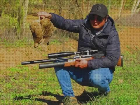 Análisis de los 29 mejores Rifles De Aires Conprimid