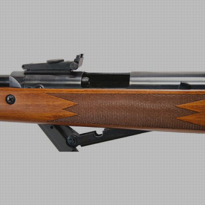 Opiniones de los 16 mejores Rifles De Aires Dianas 460 Magnum