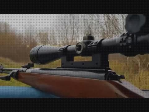 Las mejores rifle de aire diana 460 magnum
