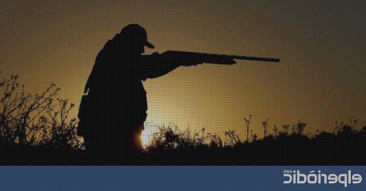 ¿Dónde poder comprar rifle de aire pilar de horadada?