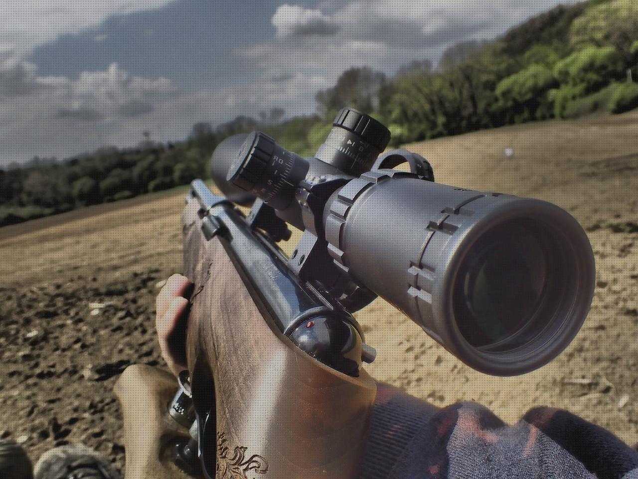 Review de rifle de aire sumatra 2500