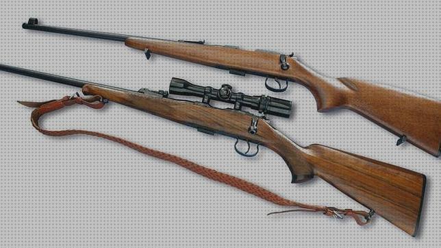 TOP 22 rifles escopetas bajo análisis