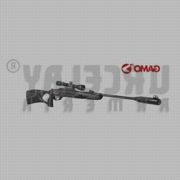 Los 22 Mejores rifles gamos magnum 5 5