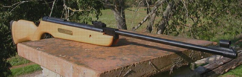 Los 17 Mejores rifles gamos olimpico a la venta