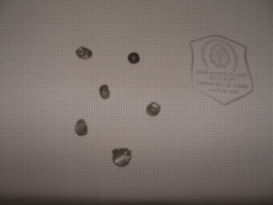 ¿Dónde poder comprar perdigones rifle perdigones daños?