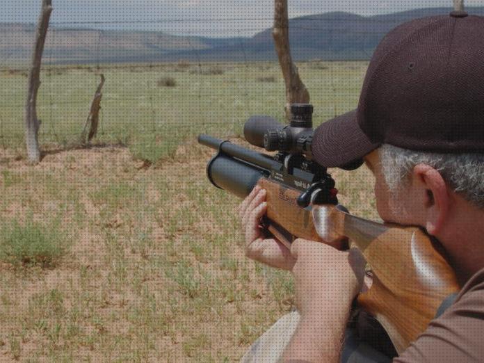 Las mejores marcas de baratos rifles rifles de aire comprimido buenos y baratos