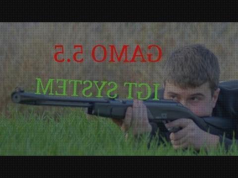 ¿Dónde poder comprar igt rifles rifles de aire comprimido gamo igt?