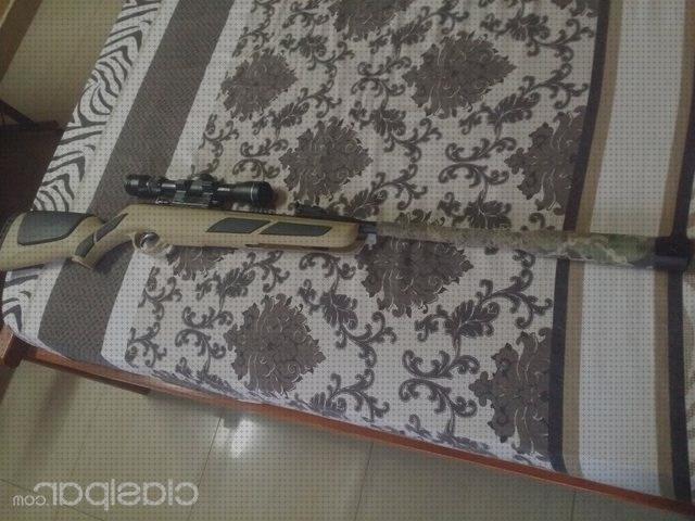 Las mejores rifles rifles de aire comprimido gamo viper