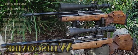Análisis de los 18 mejores Rifles De Aires Instructivos