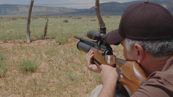 Review de rifles de precision aire comprimido