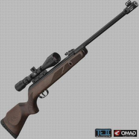 Las mejores marcas de ram rifle gamo 4 5 gas ram