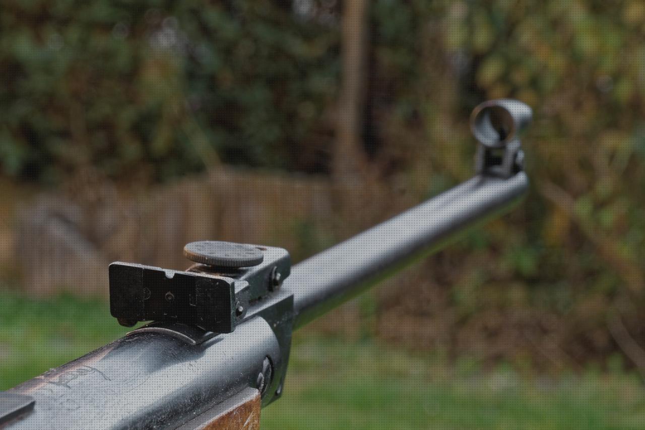 Las mejores marcas de tiros tiro deportivo rifle de aire