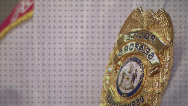 Opiniones de los 11 mejores Tiroteos Con Unas Pistolas De Perdigon