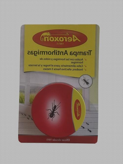 Las mejores marcas de trampa hormigas