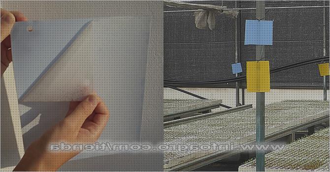 ¿Dónde poder comprar trampas de aire trampas cromaticas azules?