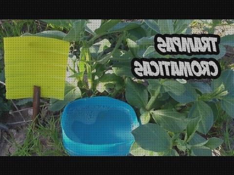 Las mejores marcas de trampas de aire trampas cromaticas azules