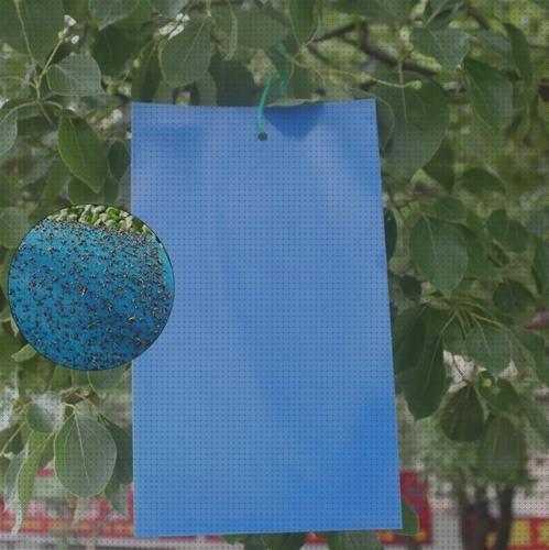 TOP 13 trampas cromaticas azules del mundo