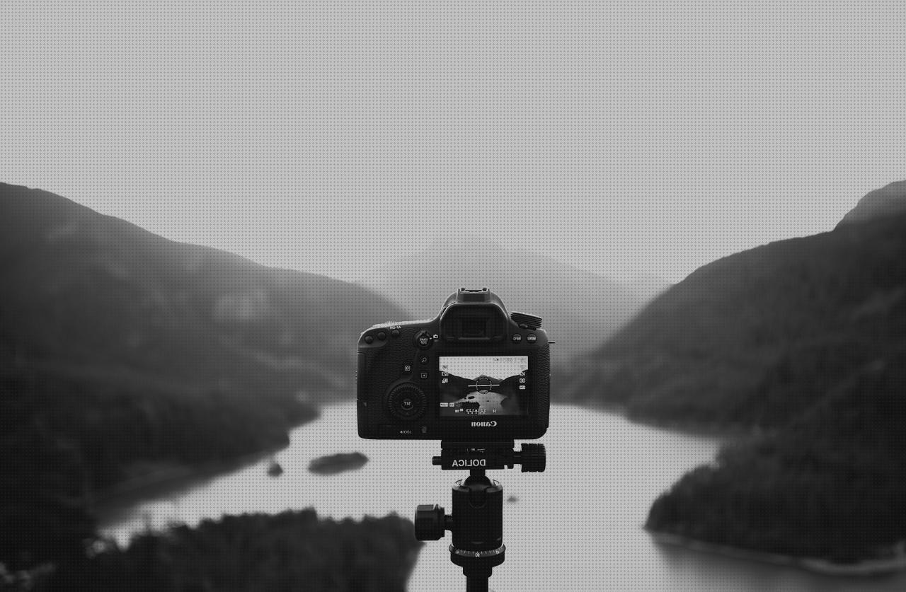 ¿Dónde poder comprar tripode escopeta tripode rifle?