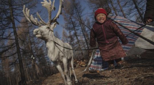 ¿Dónde poder comprar unicef kit supervivencia?