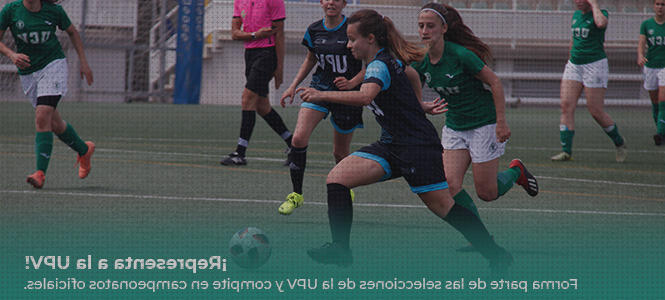 Review de upv deportes tiro con arco